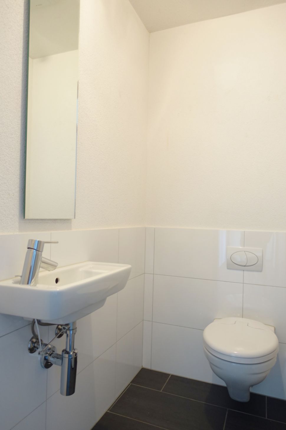 Gäste-WC mit Wand-WC und Handwaschbecken