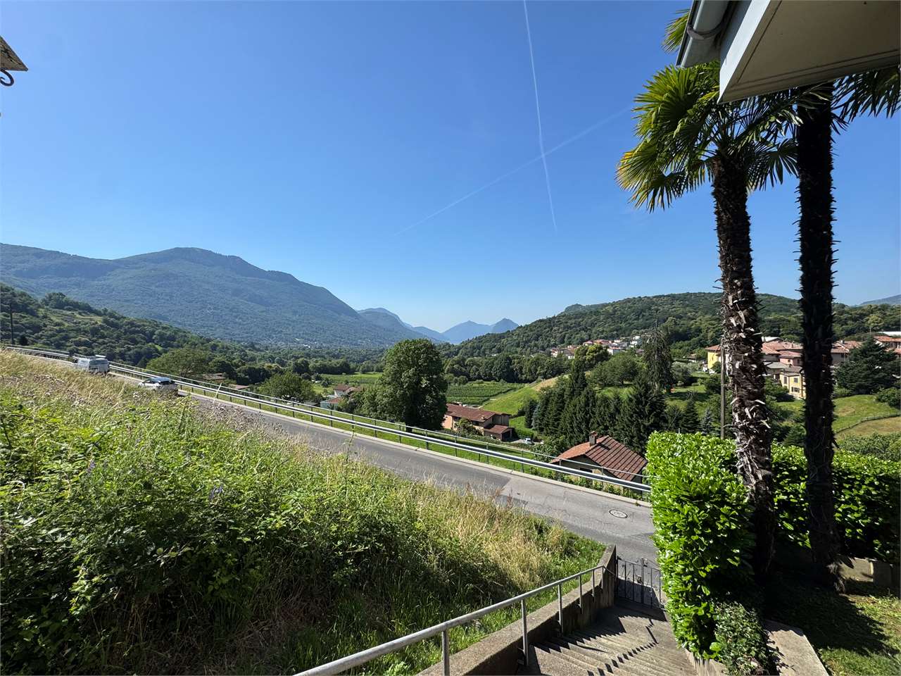 Berg- und Talblick mit Straße und Palmen