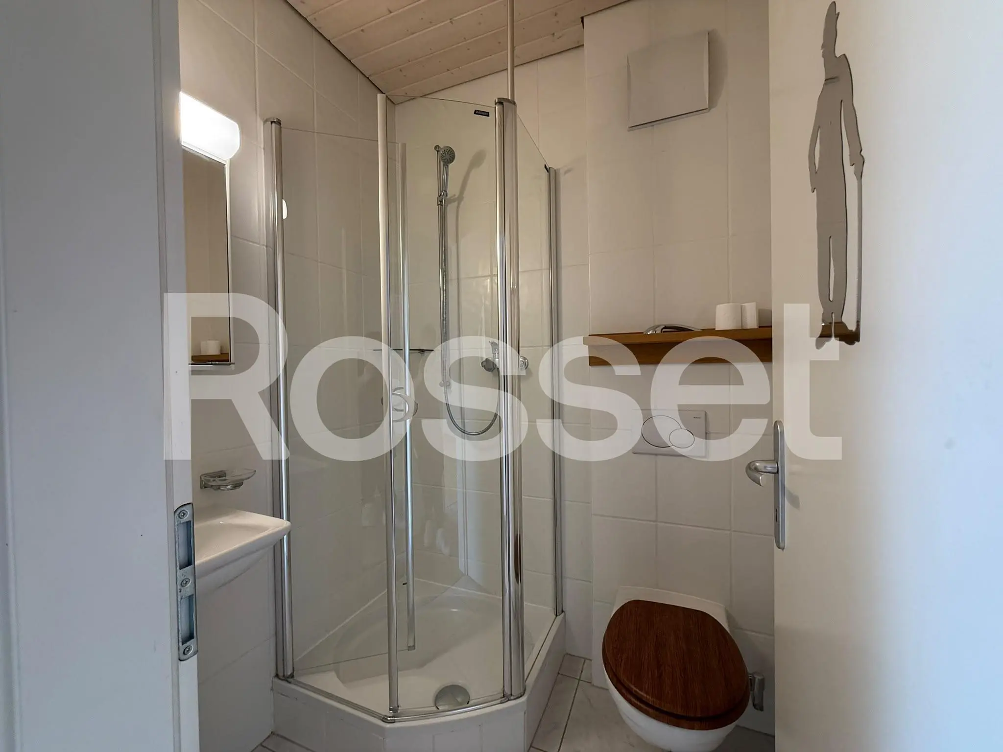 Kleines modernes Badezimmer mit Dusche und WC