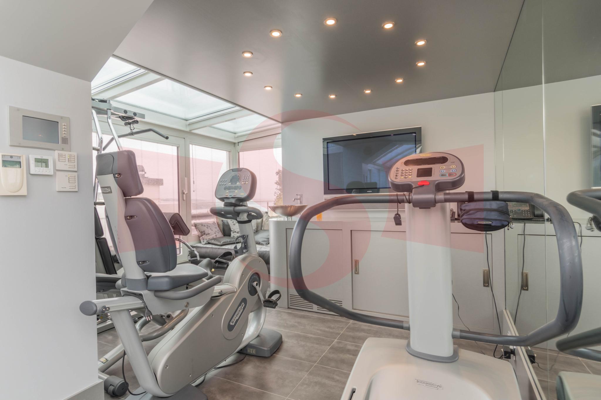 Haus-Fitnessraum mit Cardiogeräten