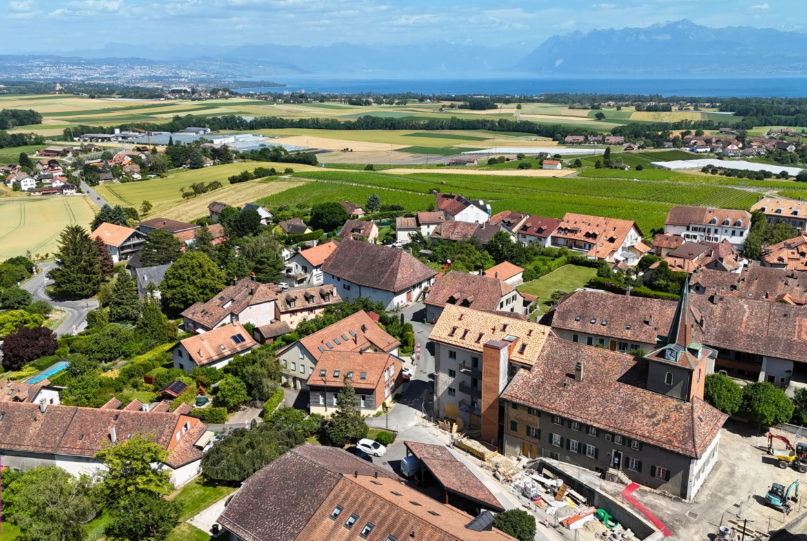 Luftaufnahme eines Dorfes am See mit weitem Alpenpanorama