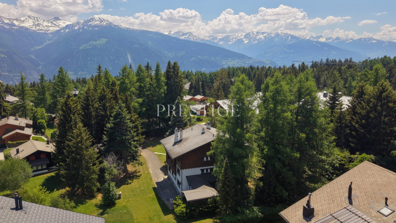 Alpines Wohngebiet mit Bergpanorama
