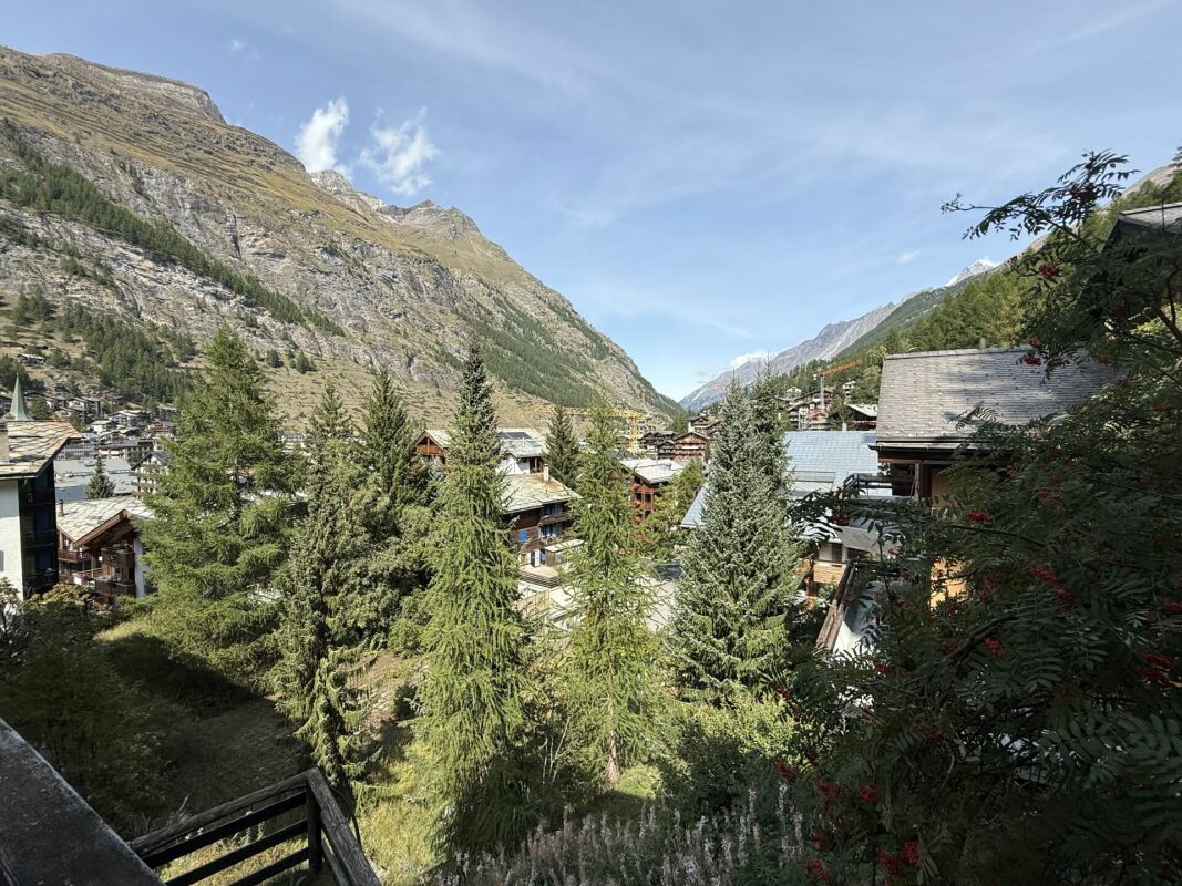 Bergblick über ein alpines Tal mit Chalets
