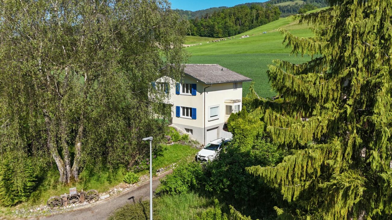 Ländliches Einfamilienhaus mit Bergblick