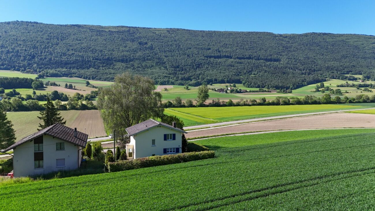 Ländliche Hanglage mit zwei Häusern und weitem Talblick