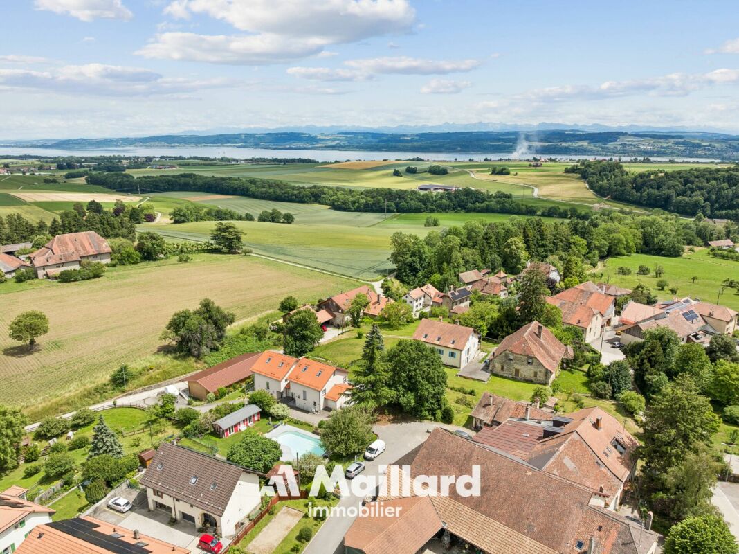 Luftaufnahme über ländliche Siedlung mit See- und Alpenblick