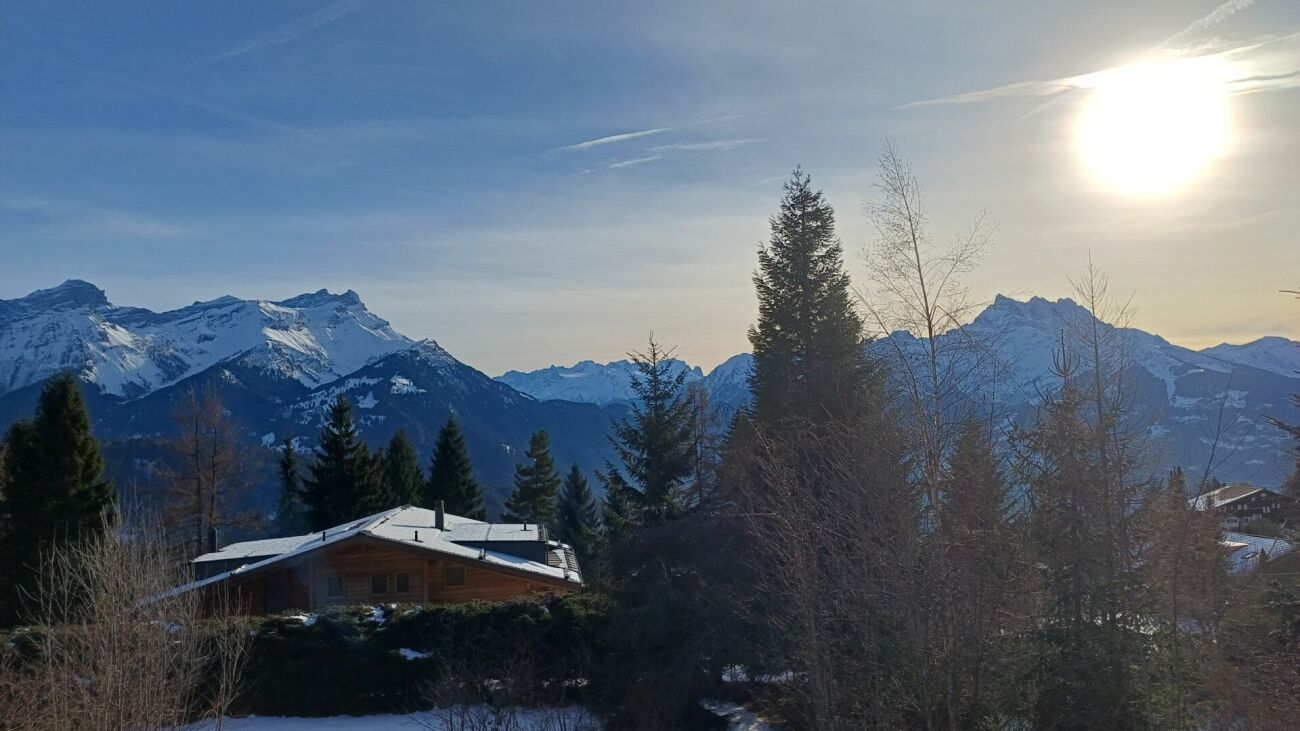 Alpenblick mit Chalet