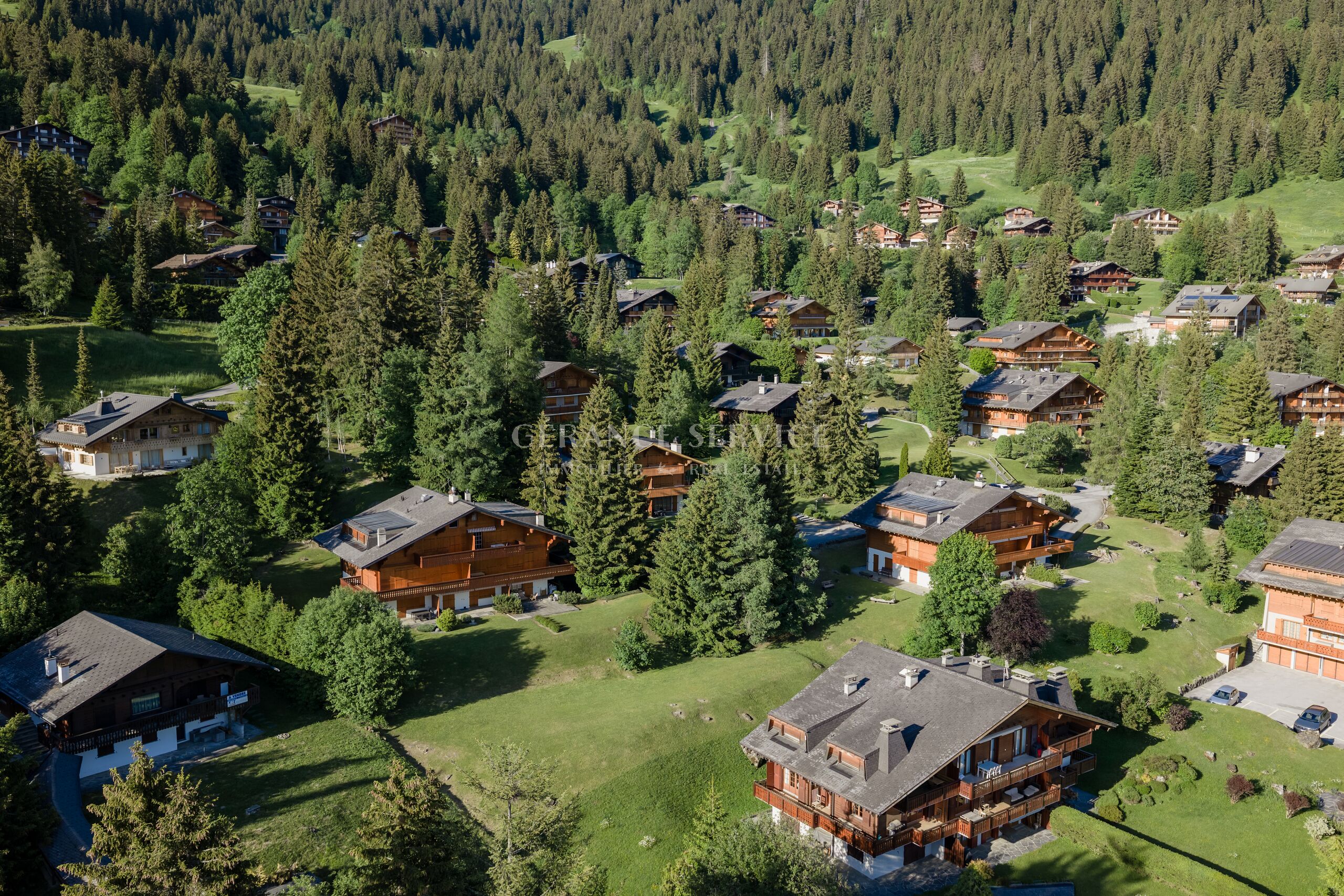 Alpine Ferienhaussiedlung in Waldlage
