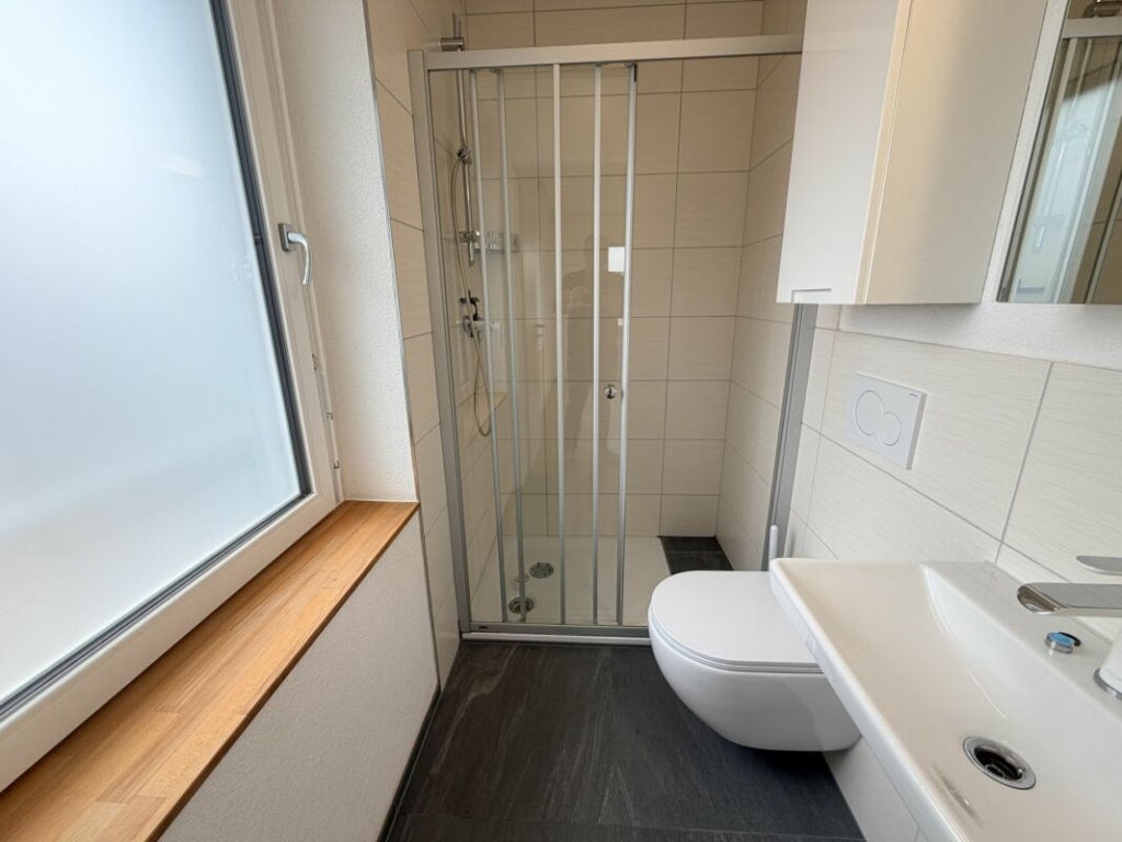 Kleines modernes Badezimmer mit Dusche
