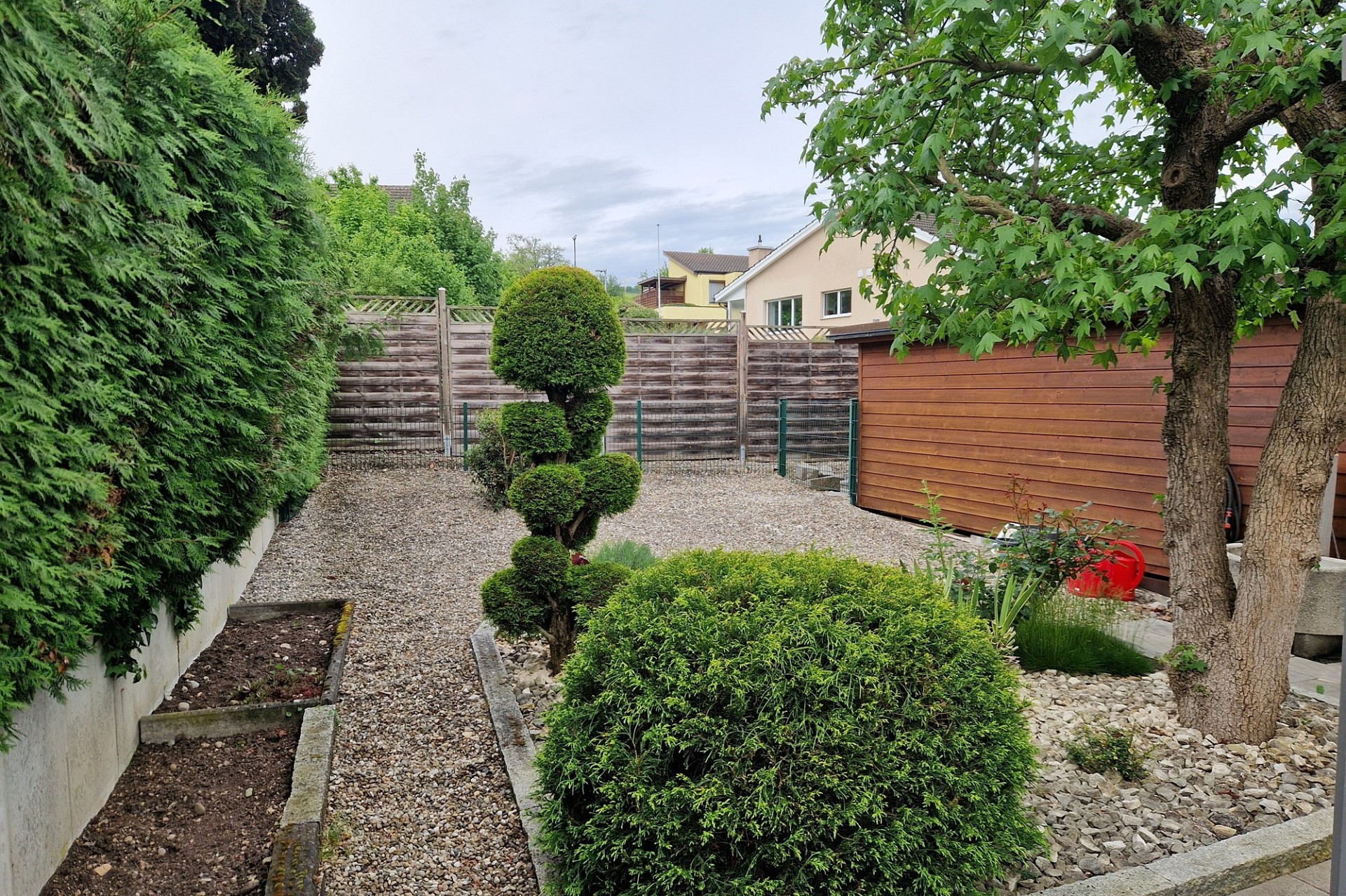 Gepflegter Garten mit Ziersträuchern und Sichtschutz