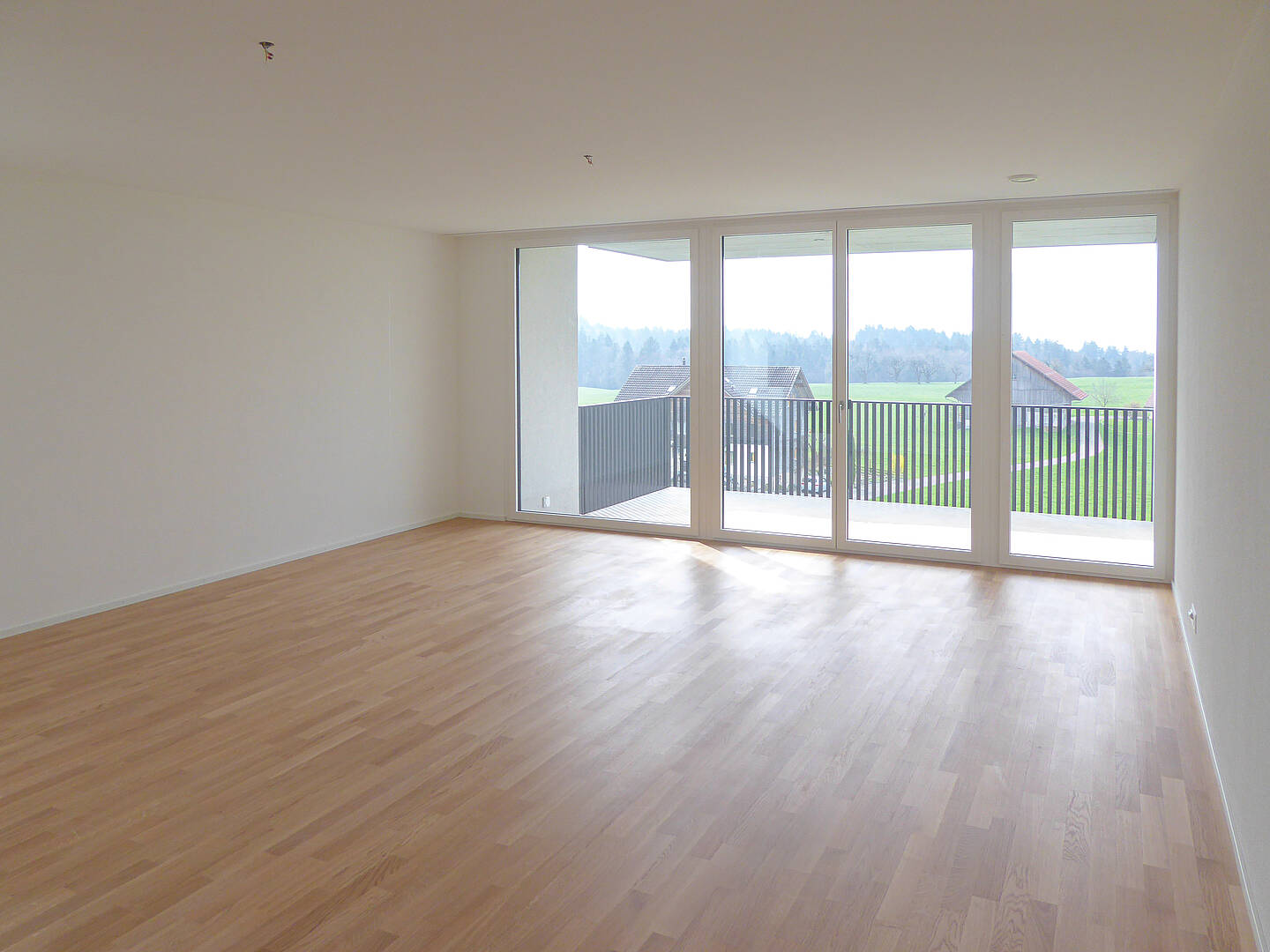 Heller leerer Wohnraum mit Balkon und weitem Blick ins Grüne