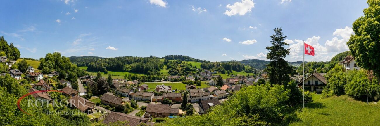 Panoramablick über ein Dorf im Grünen mit Schweizer Flagge