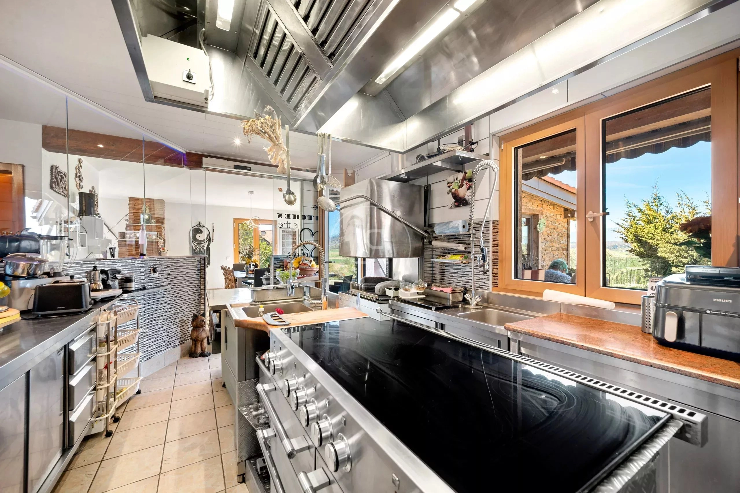 Professionelle Edelstahlküche mit Außenblick