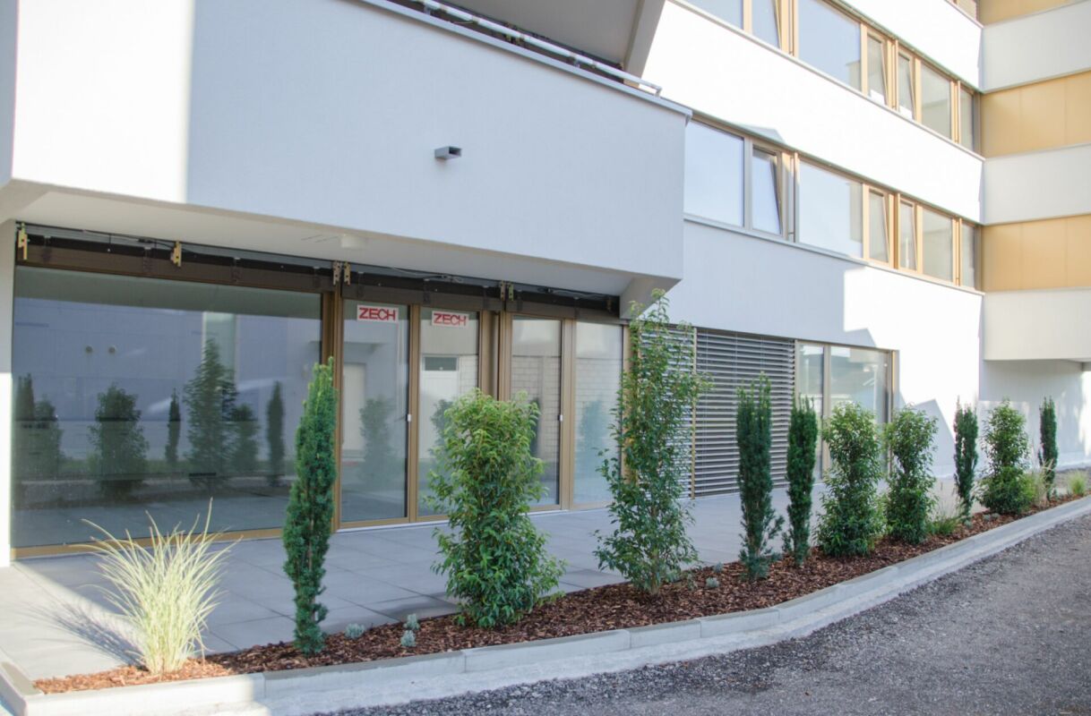 Modernes Gebäude mit Eingangsbereich und Pflanzstreifen