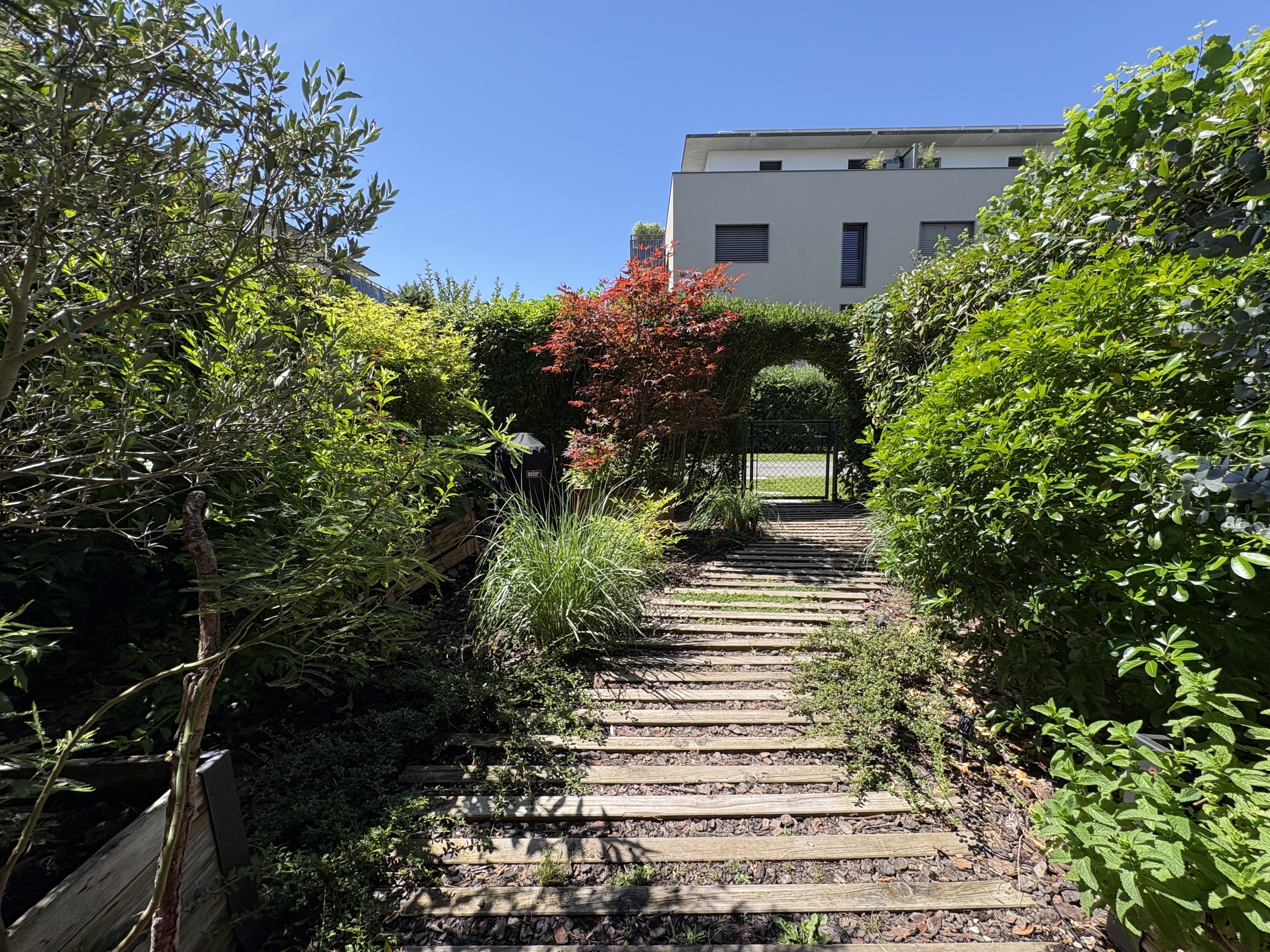 Gartenweg zum modernen Gebäude