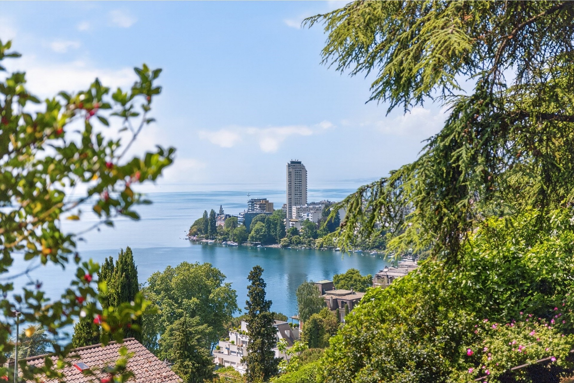 Seeblick über eine bewaldete Uferlage