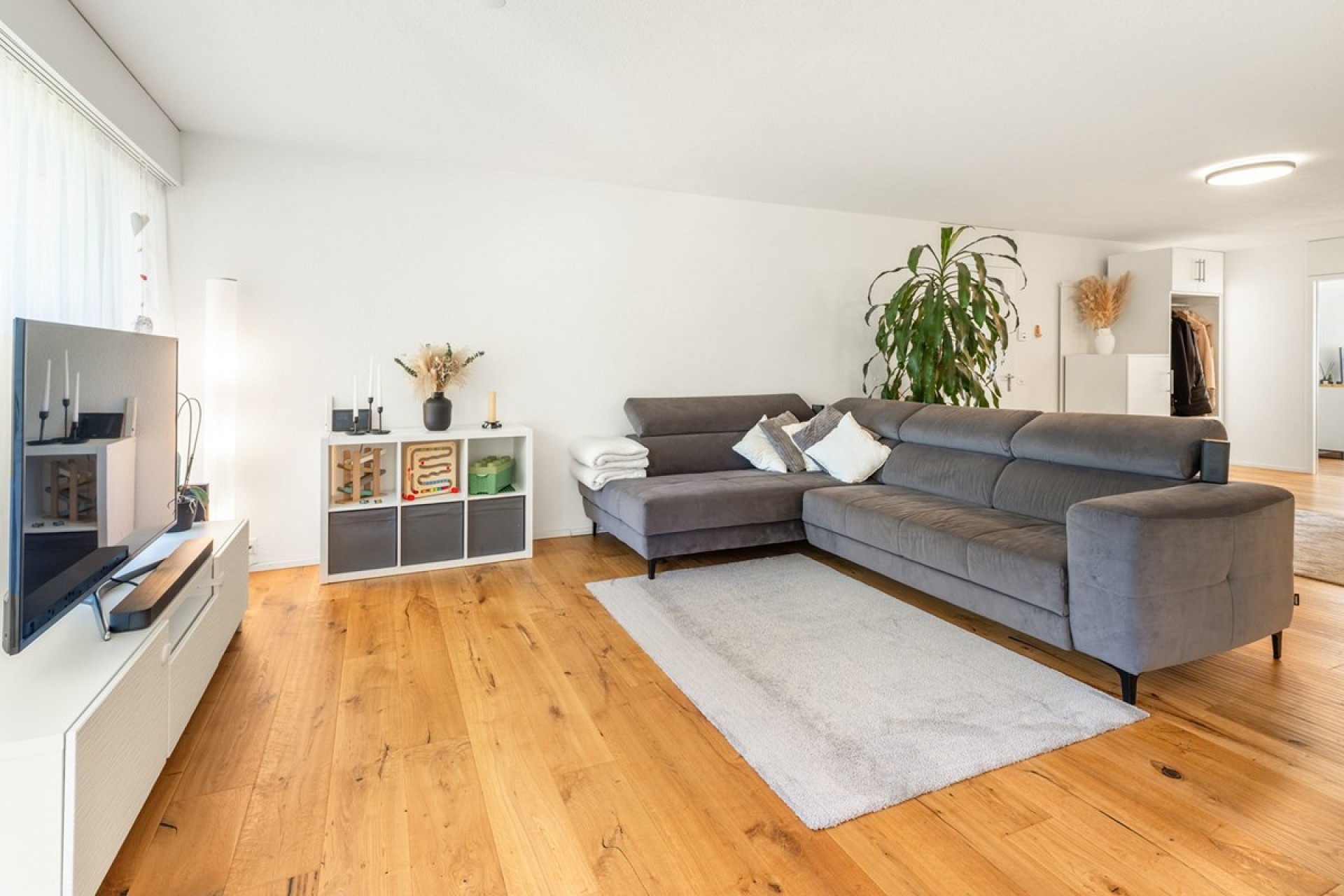 Helles, modernes Wohnzimmer mit grauer Eckcouch