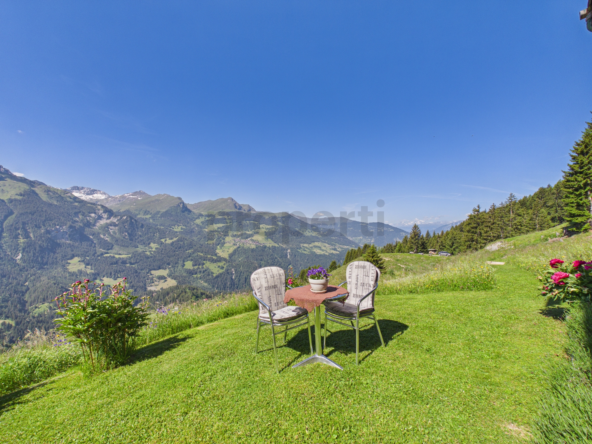 Alpiner Garten mit Bergpanorama