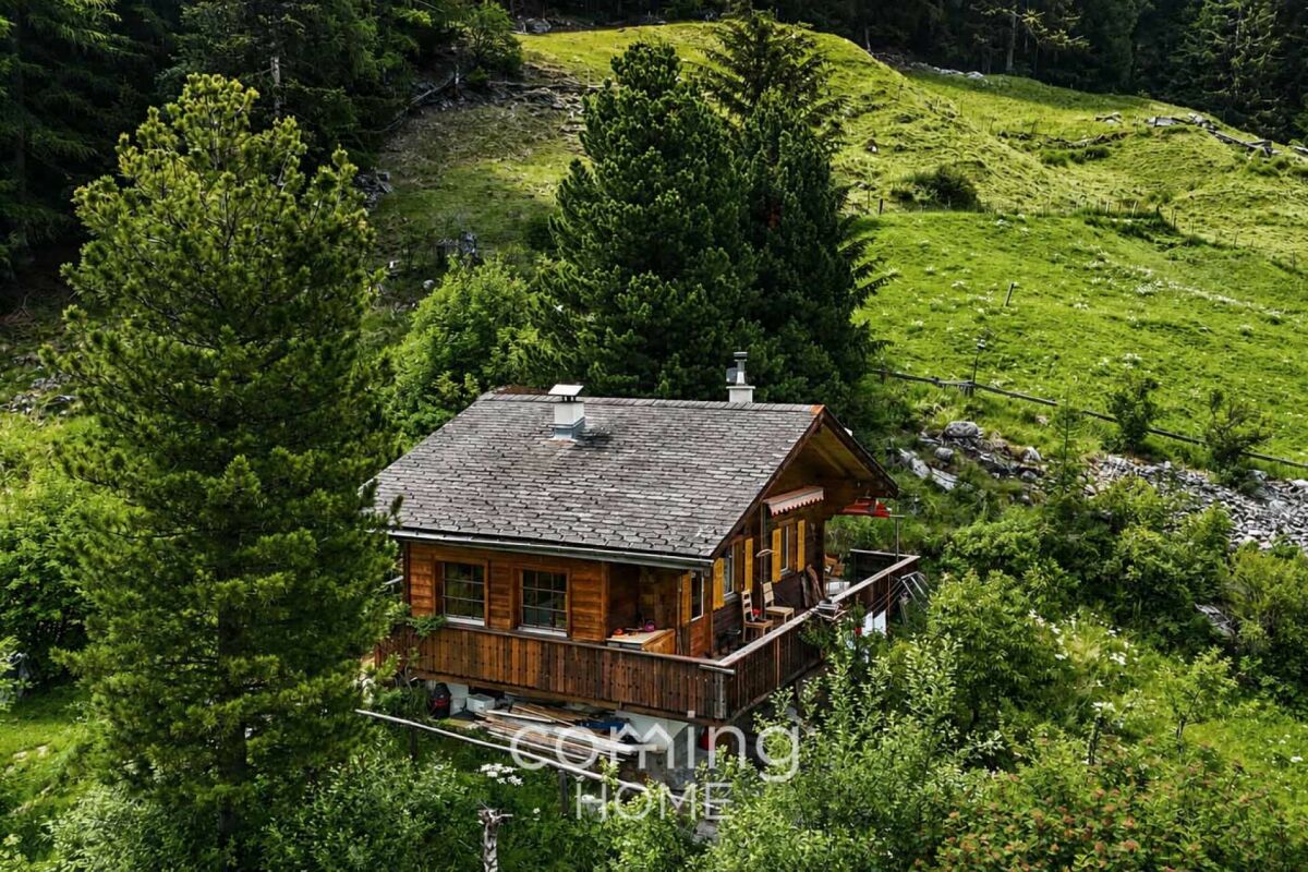 Berghütte in grüner Hanglage