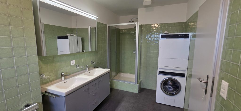 Modernes Badezimmer mit Duschbereich und Doppelwaschtisch