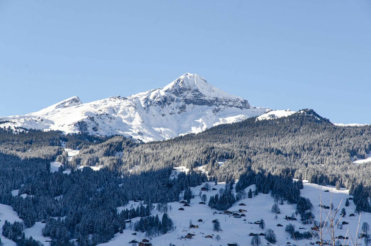 Schneebedeckte Berglandschaft mit Tal und Wald