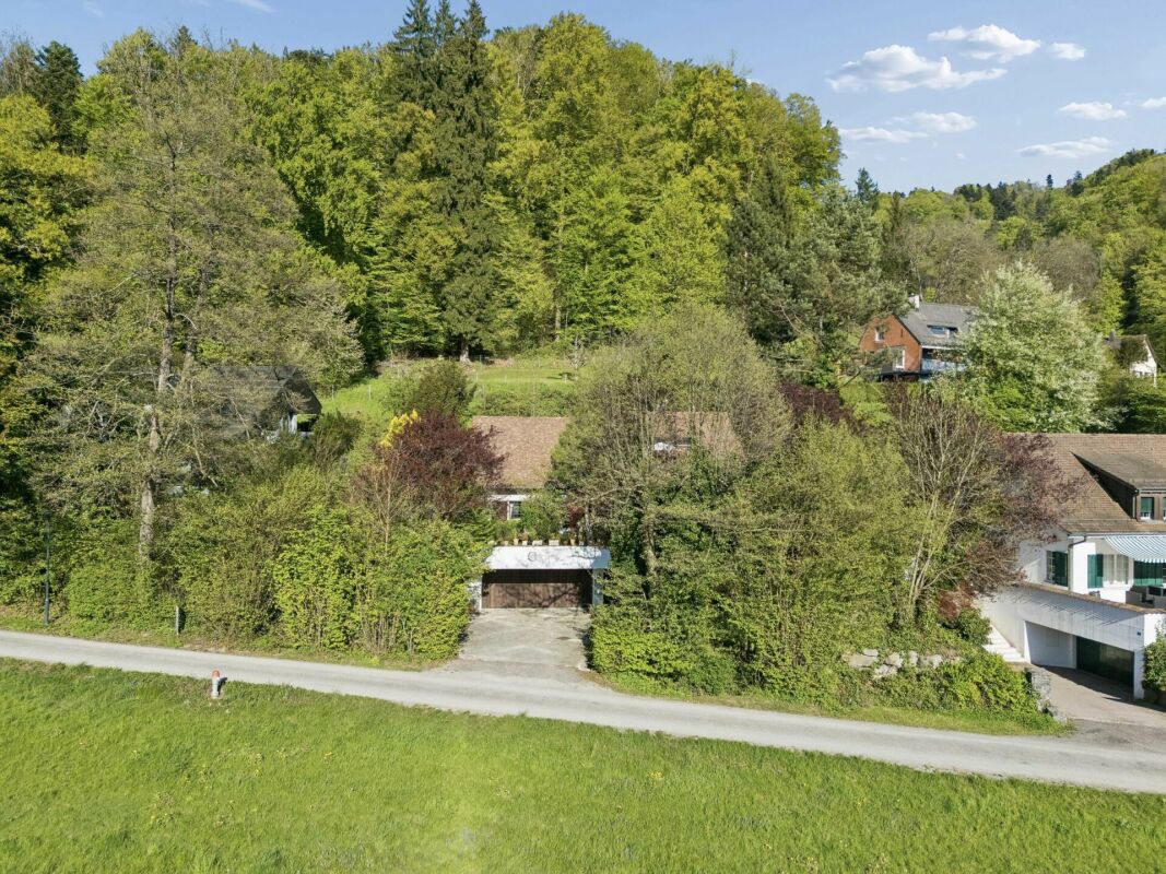 Ländliche Hanglage mit Wohnhäusern im Grünen