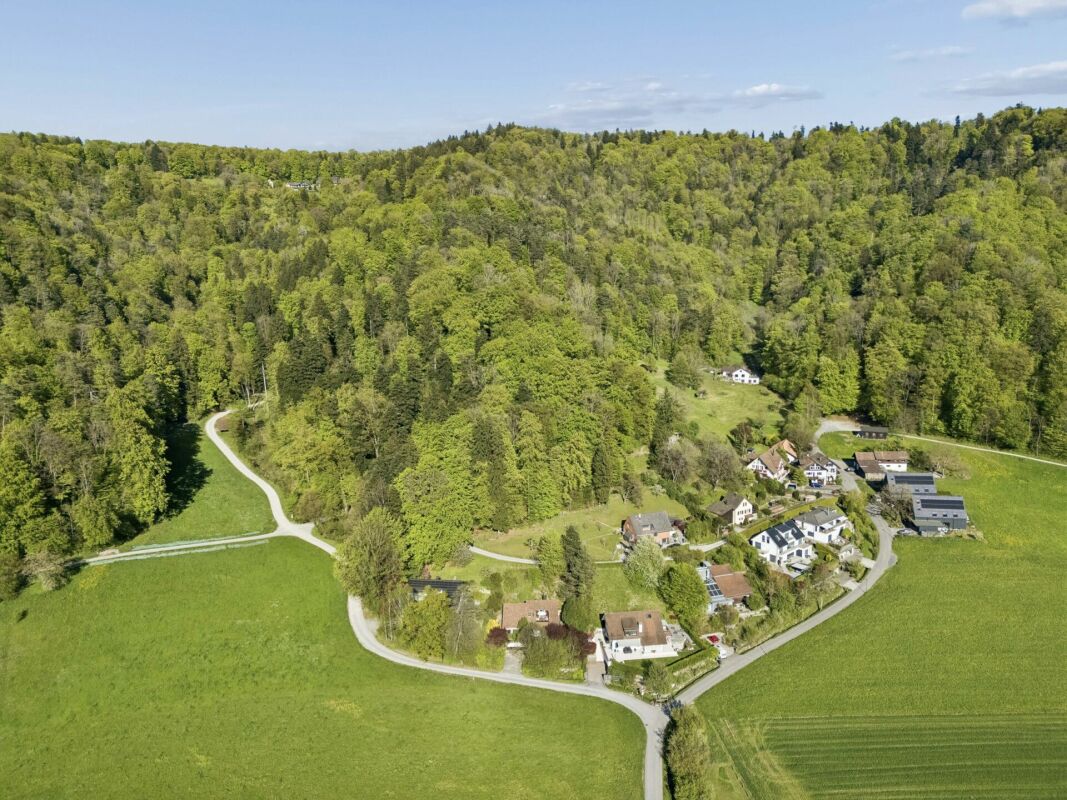 Luftaufnahme eines grünen Tal- und Siedlungsgebiets