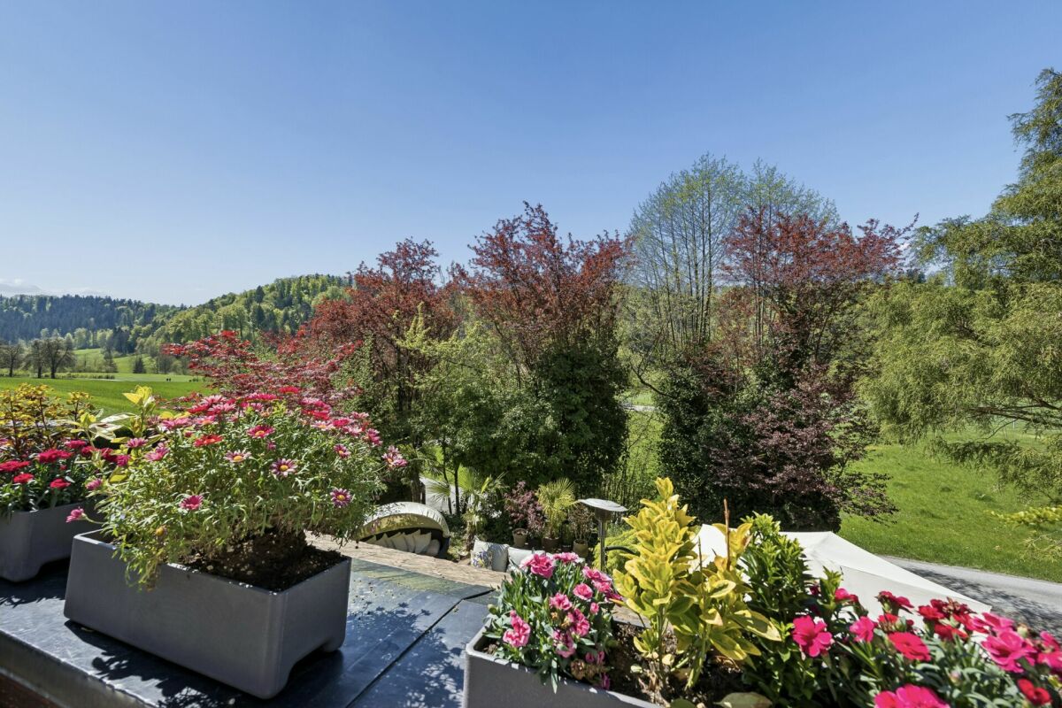 Terrasse mit Blick ins Grüne