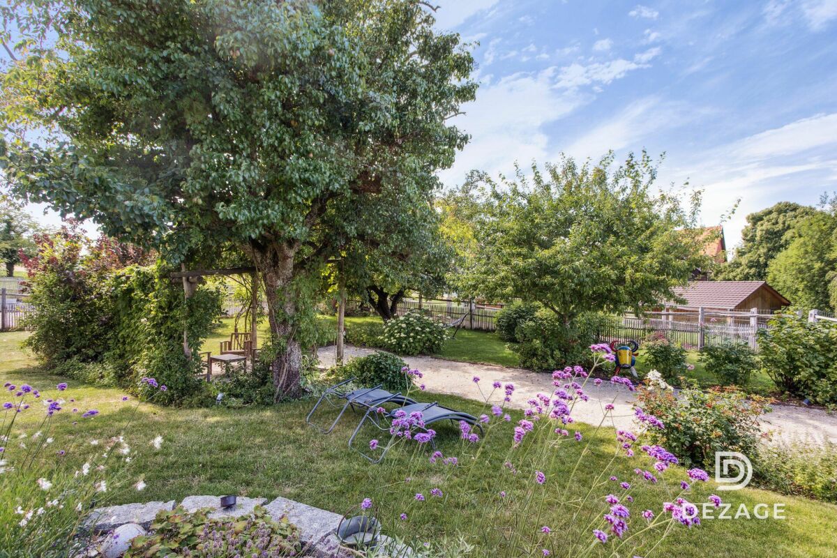 Großer, grüner Garten mit Bäumen und Gartenweg