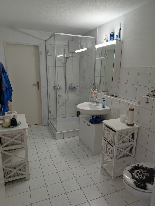 Modernes Badezimmer mit Dusche und Doppelablagen