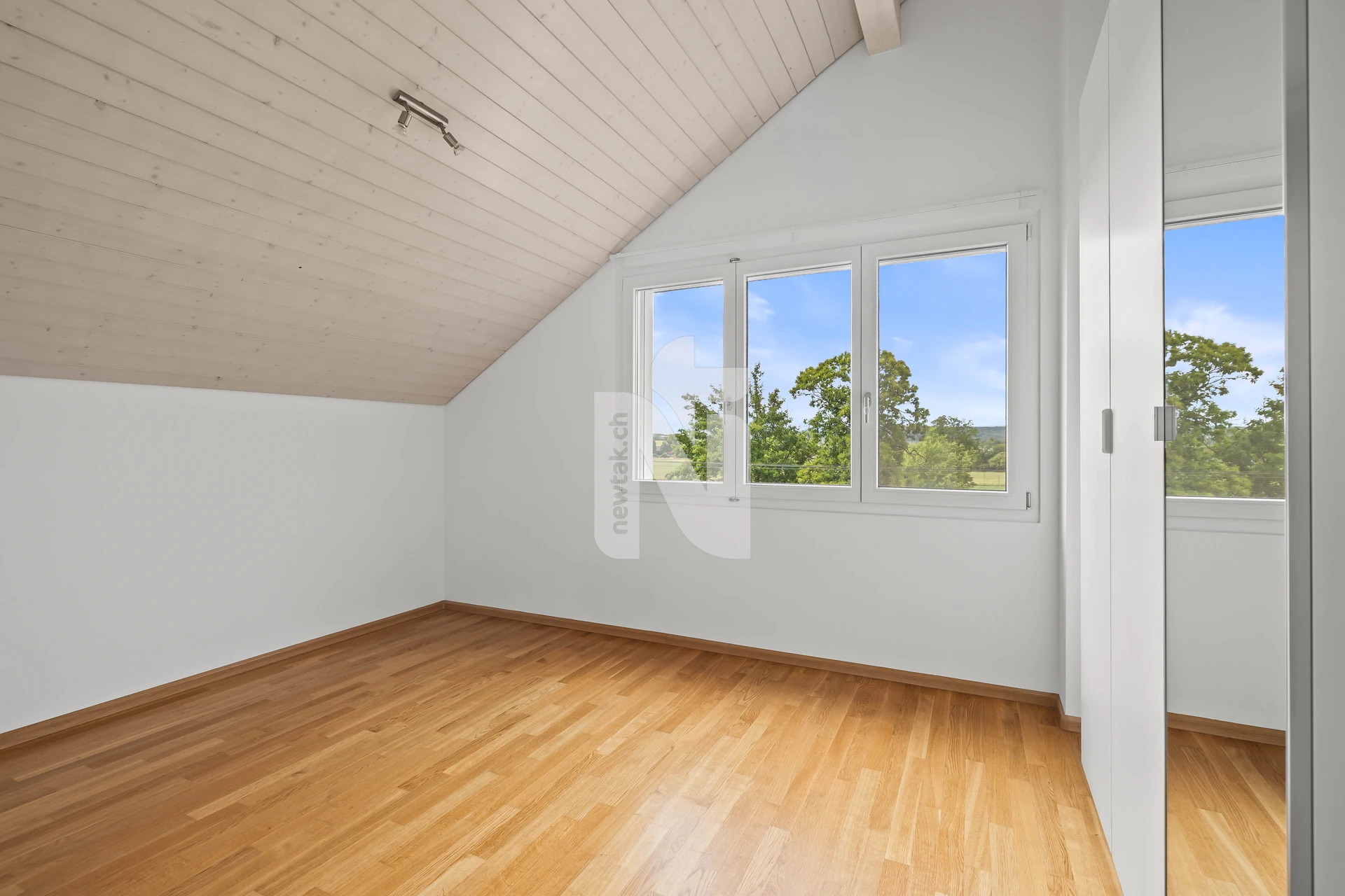 Heller Dachraum mit Holzdecke und Blick ins Grüne