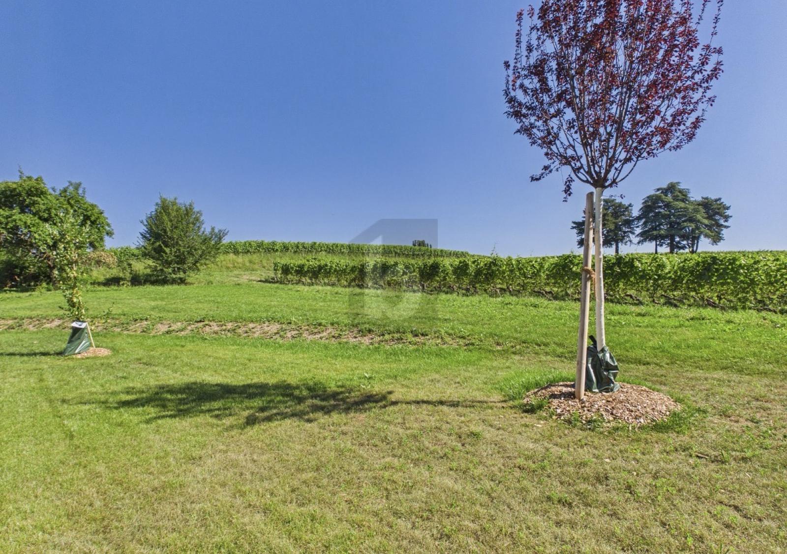 RENOVIERT MIT GARTEN, RUHIG IN DEN WEINBERGEN – Satigny
