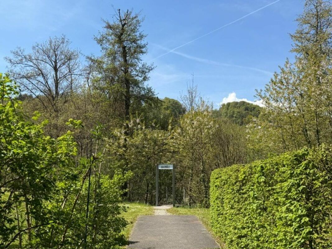Gartenweg in grüner Umgebung