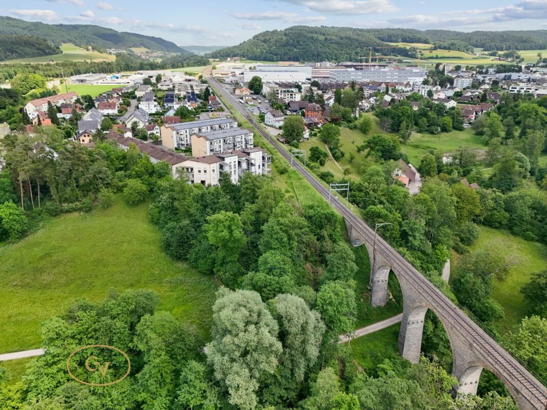 Luftaufnahme einer grünen Stadtlandschaft mit Bahnviadukt