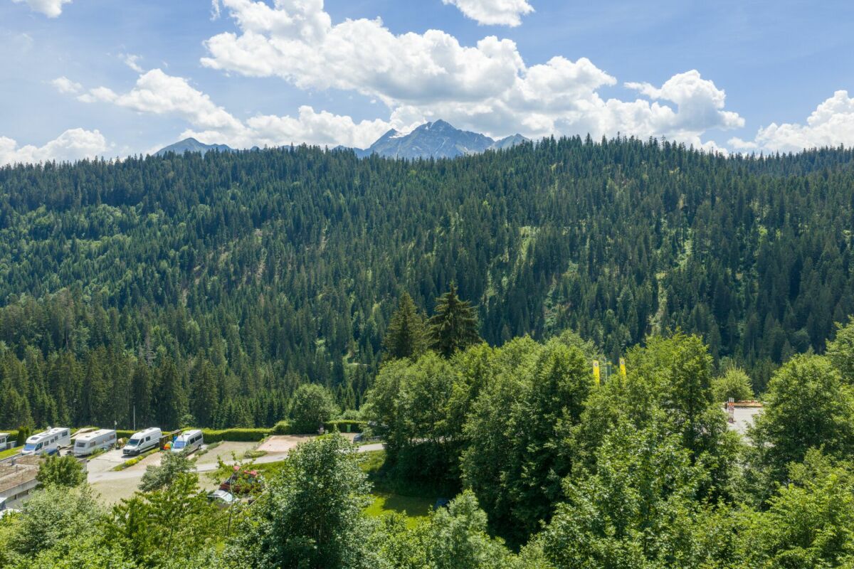 Bergpanorama mit Wald und Parkplatz