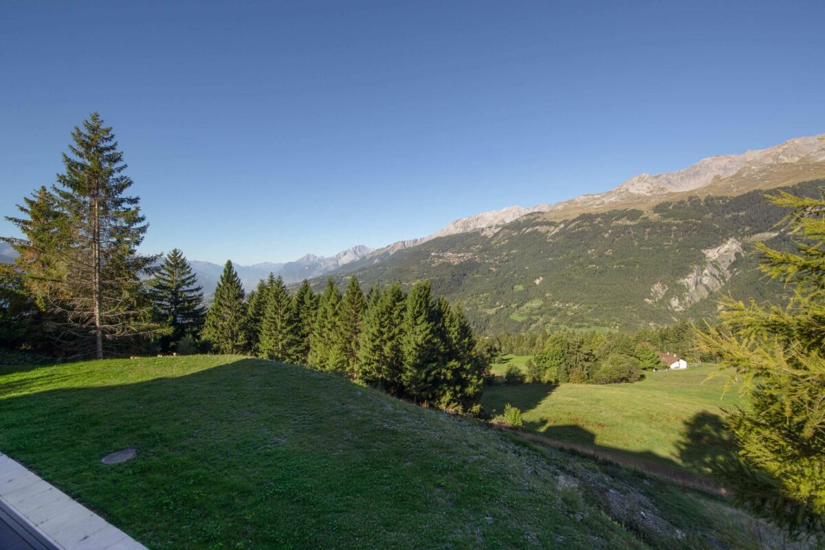 Alpenlandschaft mit Wiese und Bergblick