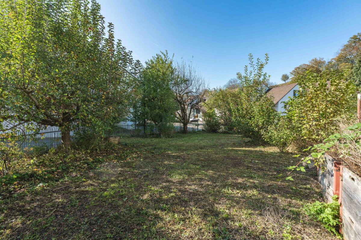 Garten mit Rasen und Bäumen