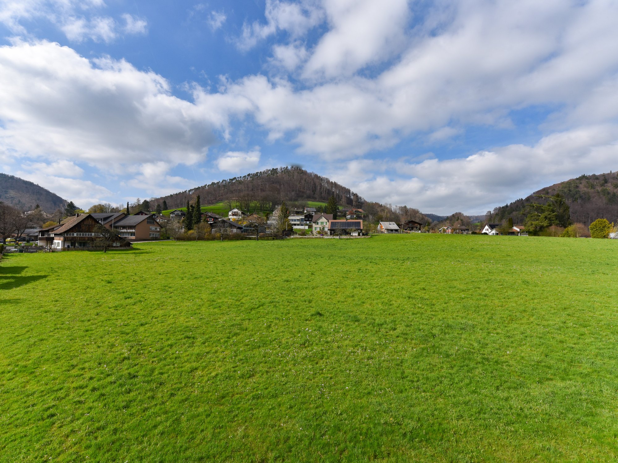 Landschaft mit Wiese und Bergdorf