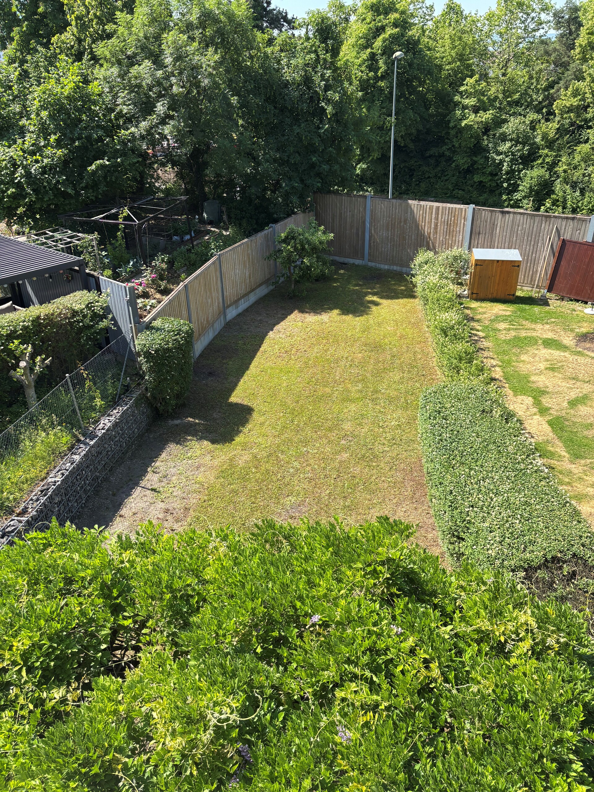 Großer Garten mit Rasenfläche und dichter Begrenzung