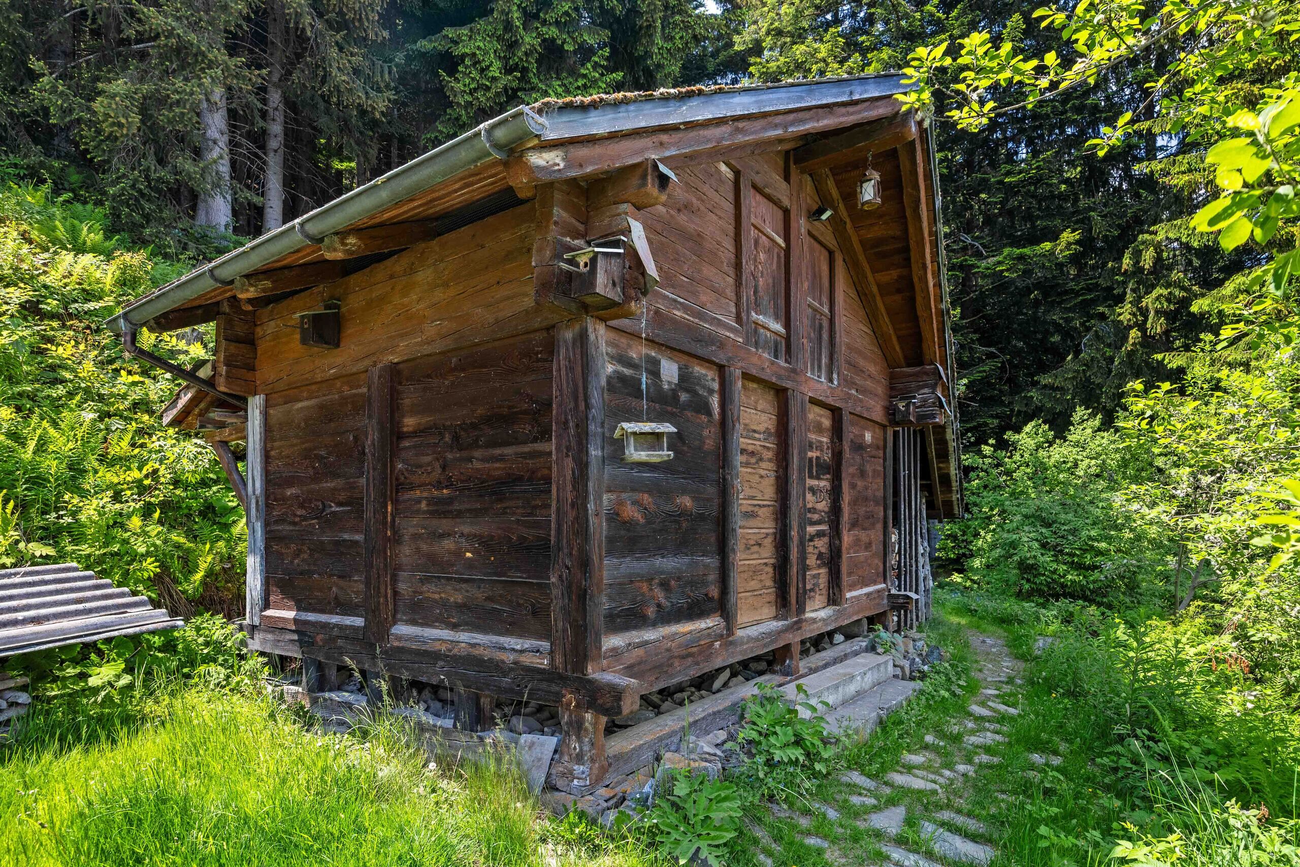 Rustikale Holzhütte im Wald
