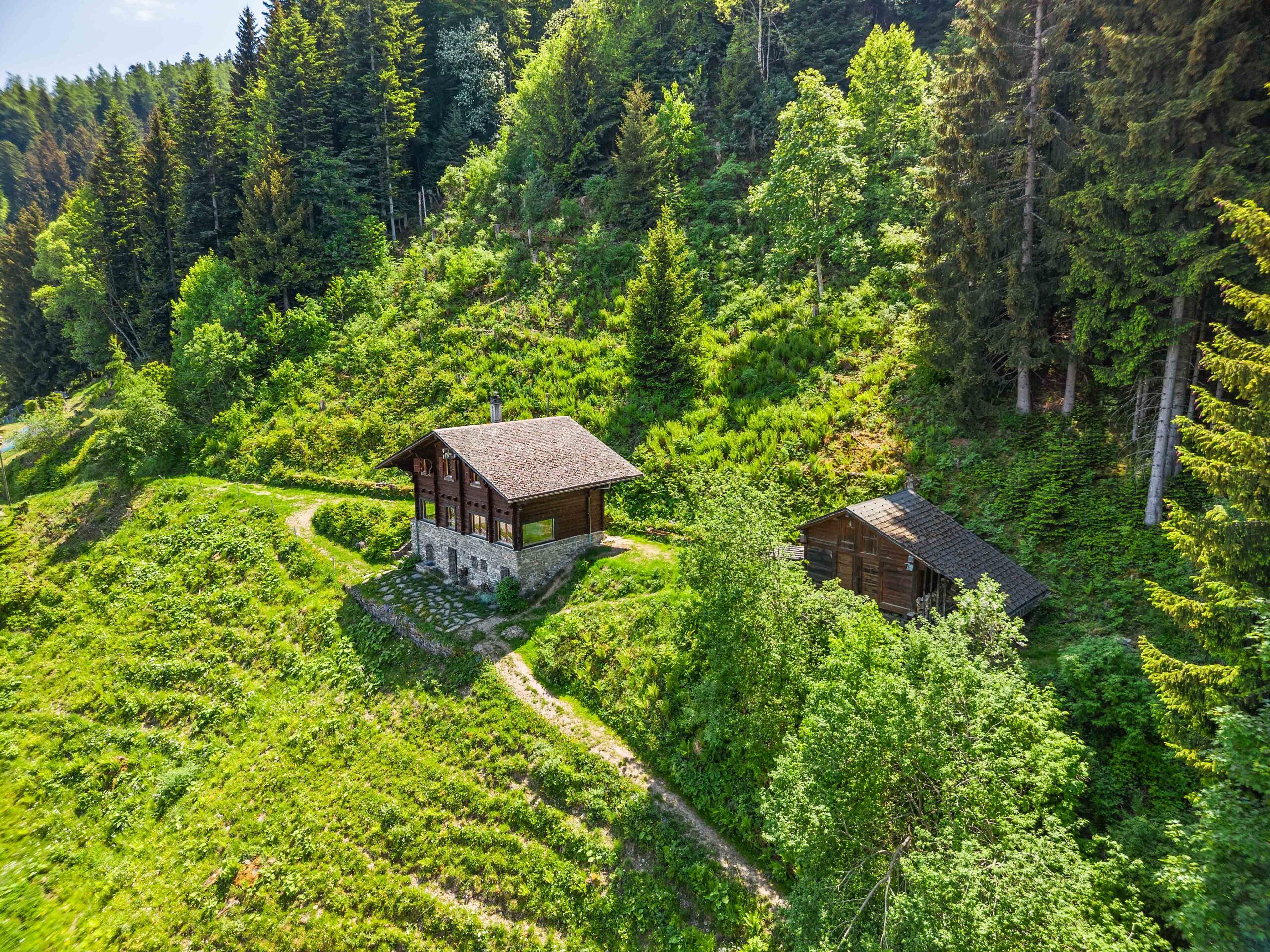Alpines Berghaus in bewaldeter Hanglage