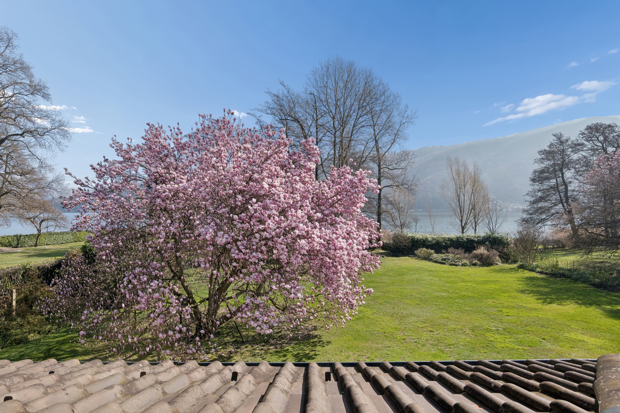 Garten mit Seeblick und blühendem Baum