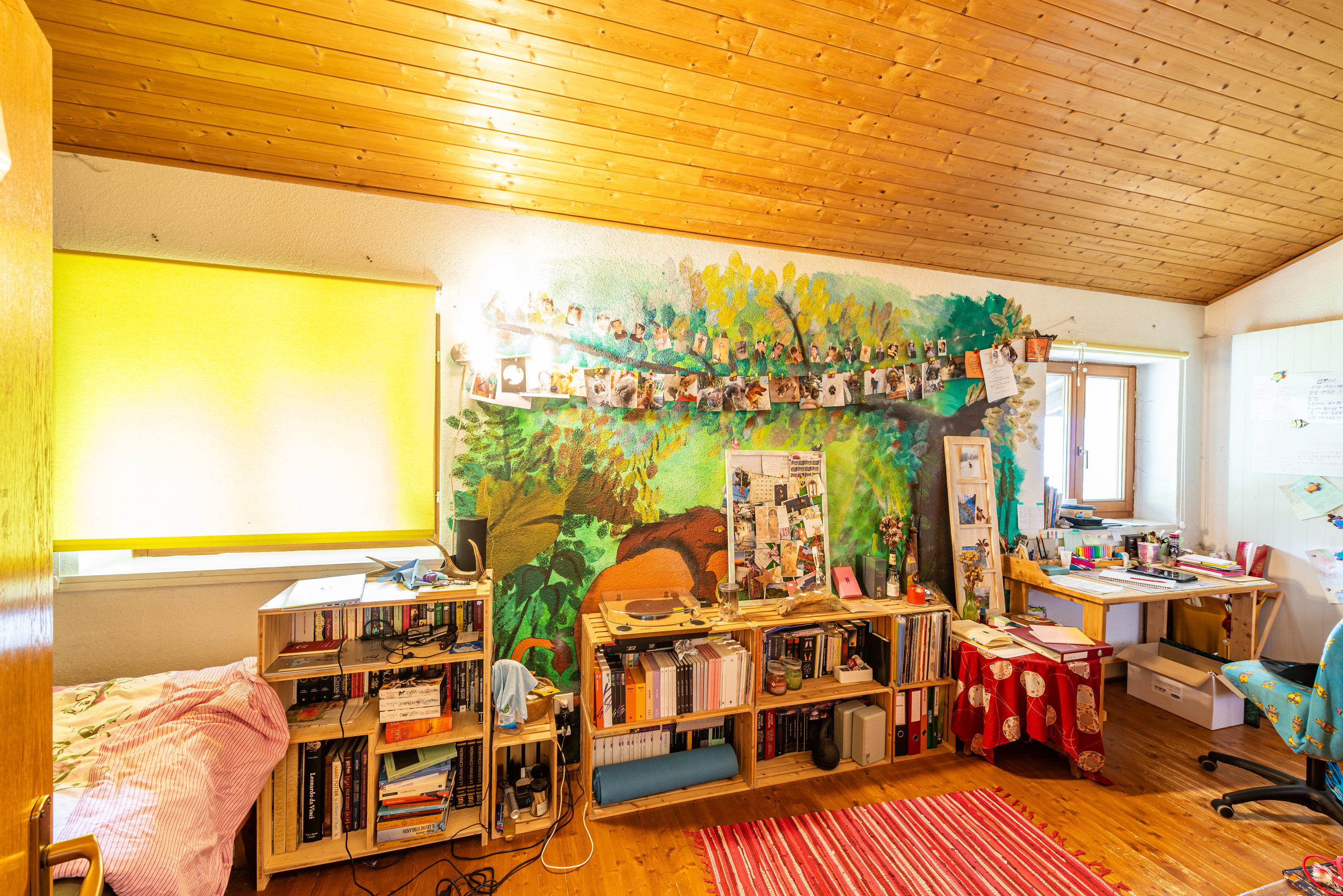 Gemütliches Dachzimmer mit Arbeits- und Schlafbereich