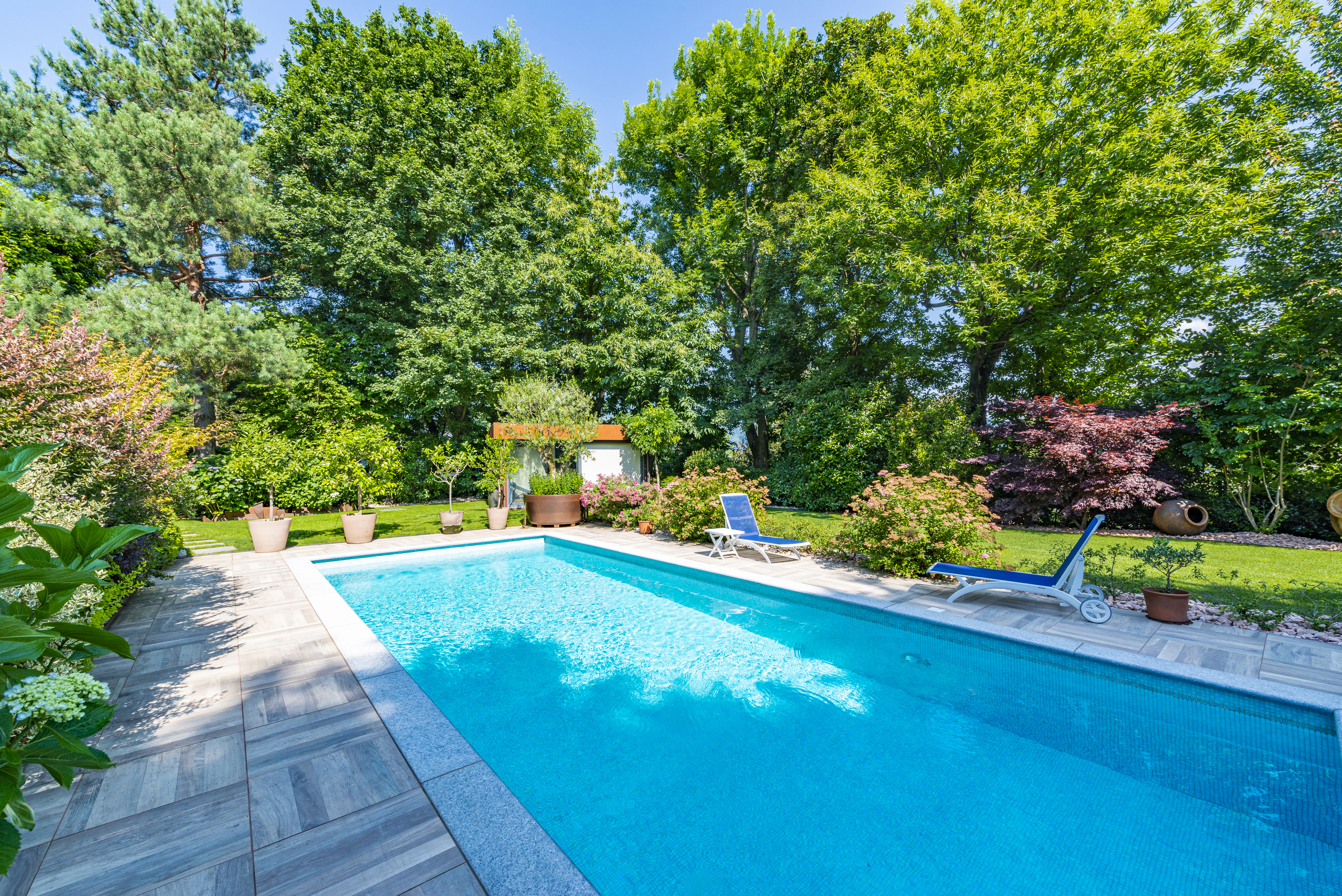 Garten mit Pool