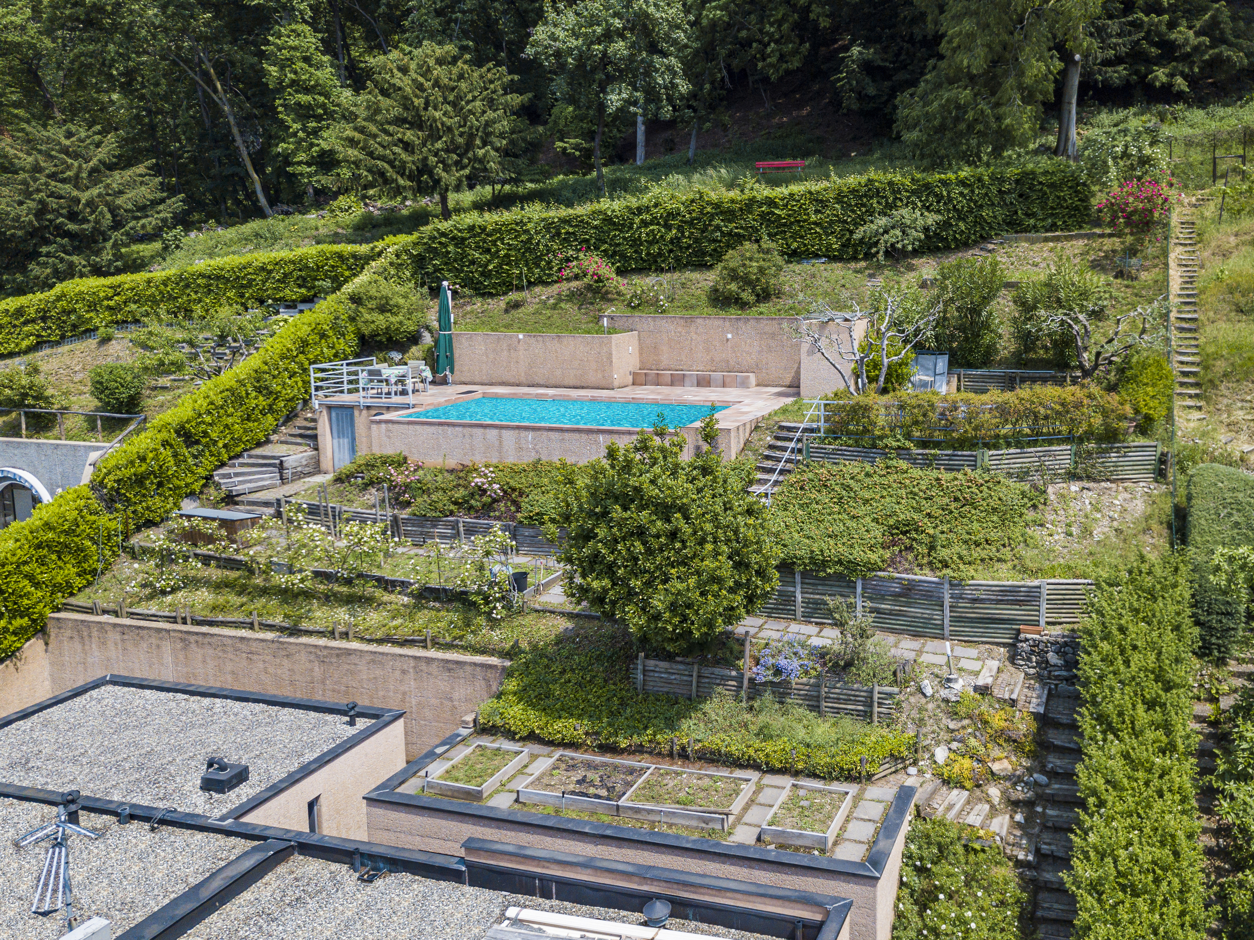 Terrassierter Garten mit Pool
