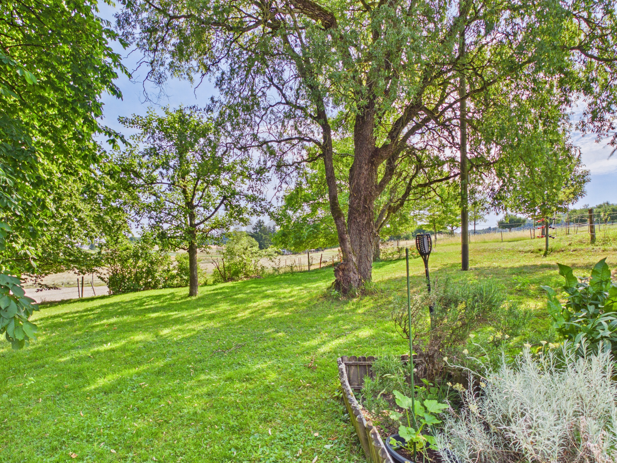 Großer grüner Garten mit Bäumen