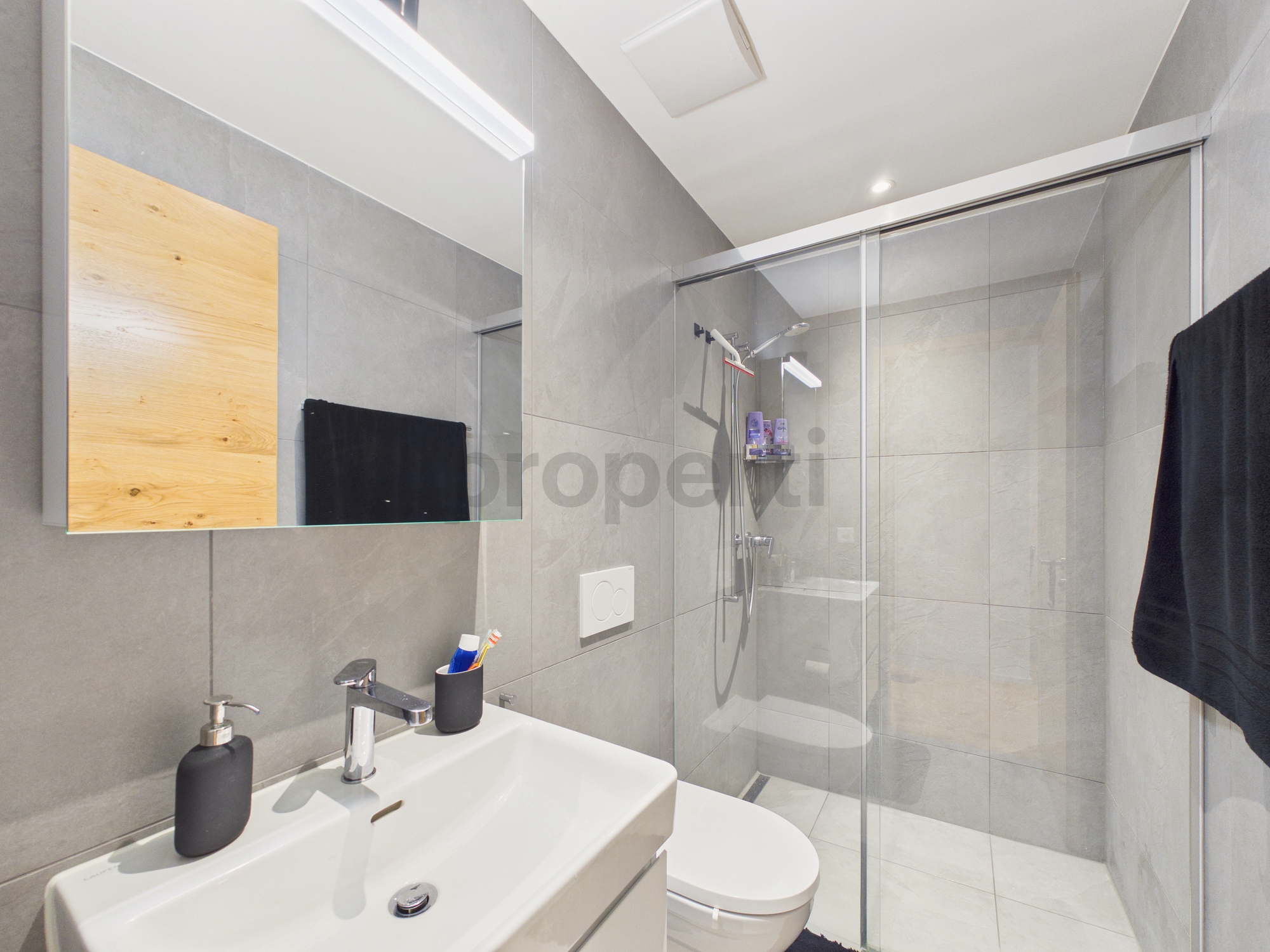 Modernes Badezimmer mit Dusche und Waschtisch