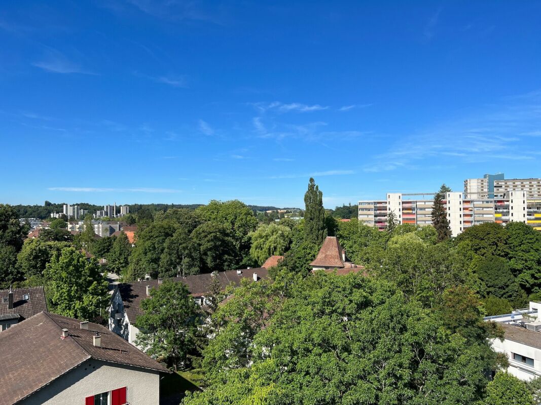 Stadtblick über eine grüne Wohngegend