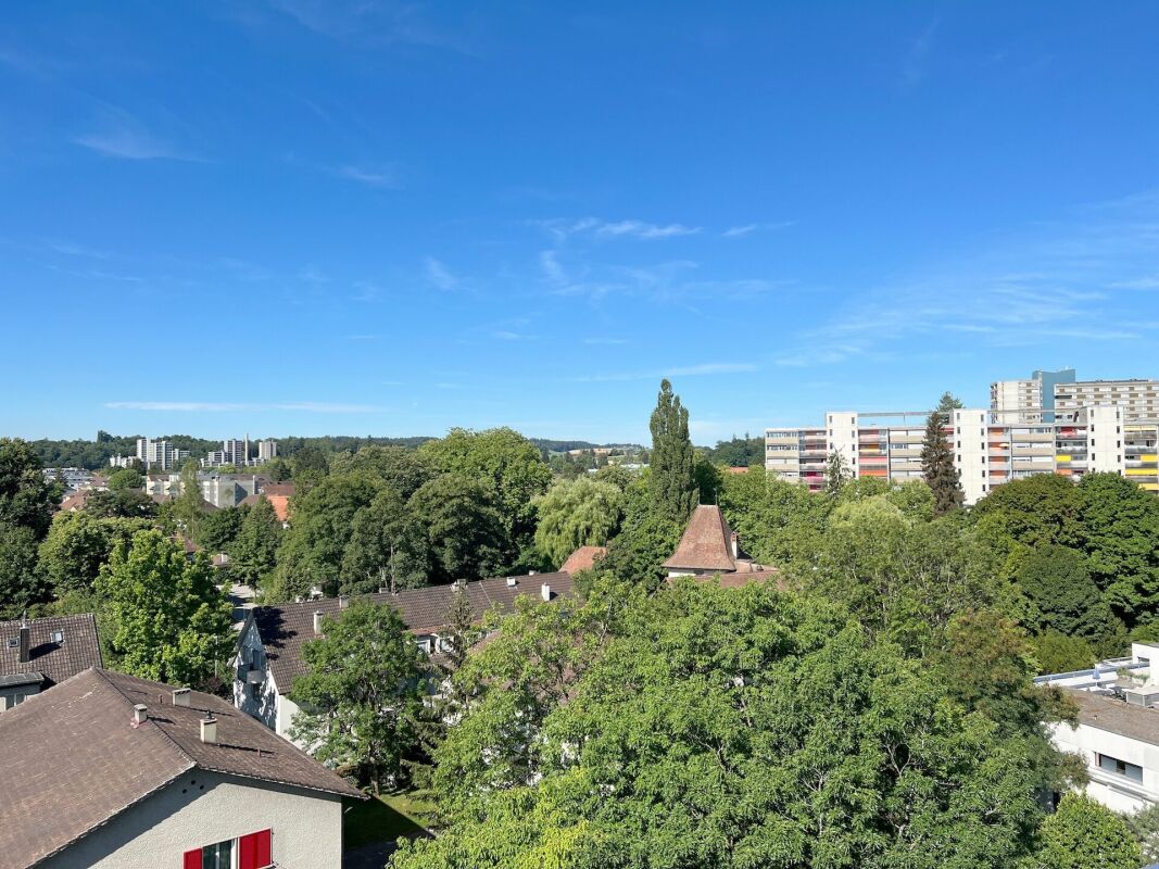 Stadtblick über Baumkronen
