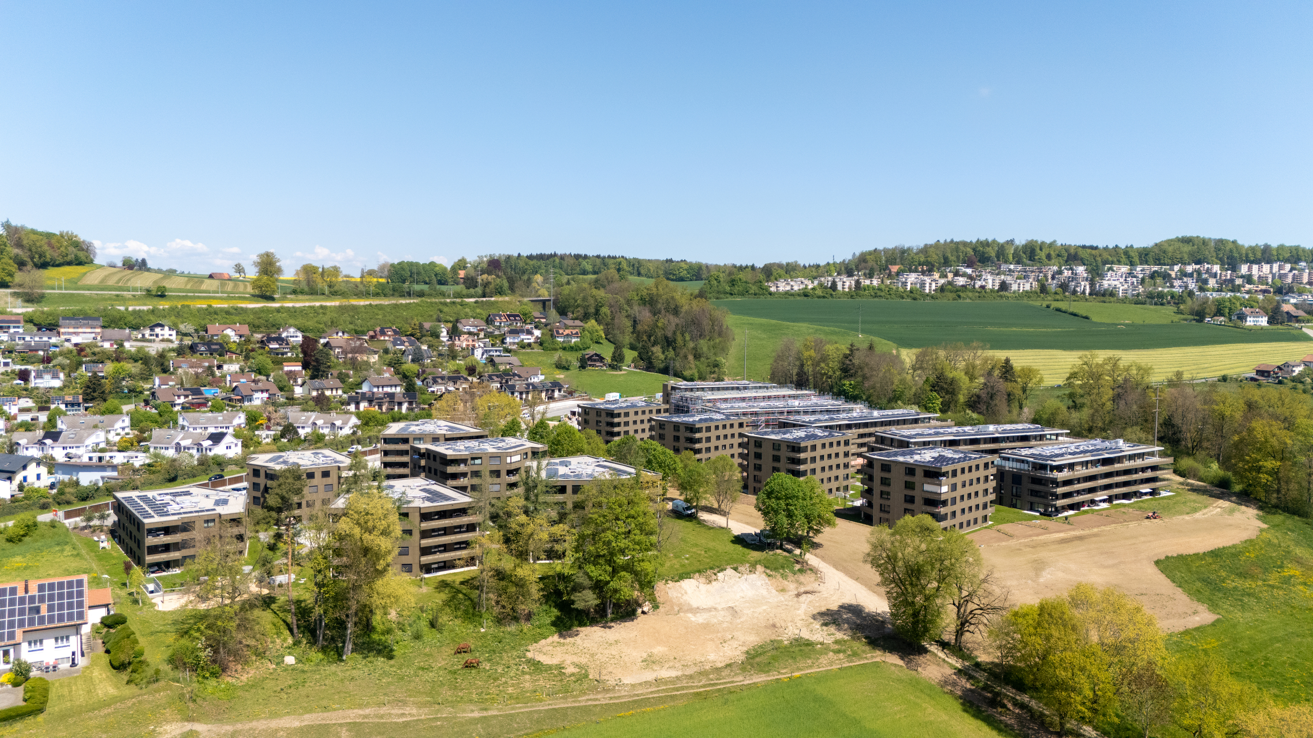 Luftaufnahme eines Wohngebiets im Grünen